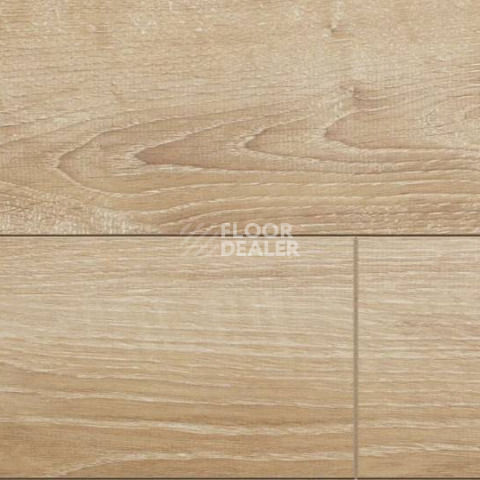 Ламинат Alsafloor Solid Medium ДУБ КАНАРСКИЙ 621 фото 1 | FLOORDEALER